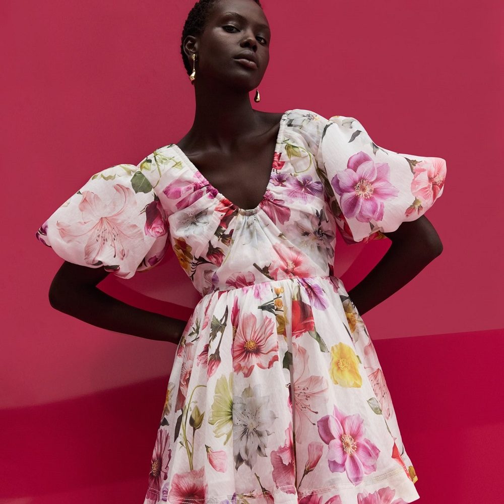 What Color is the Dress: The Science Behind Perception Variances