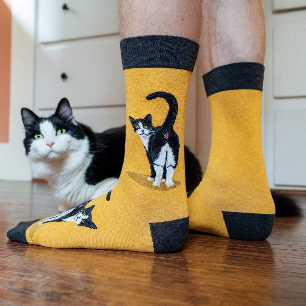 Fun Socks: Celebrate Every Occasion with Unique Styles