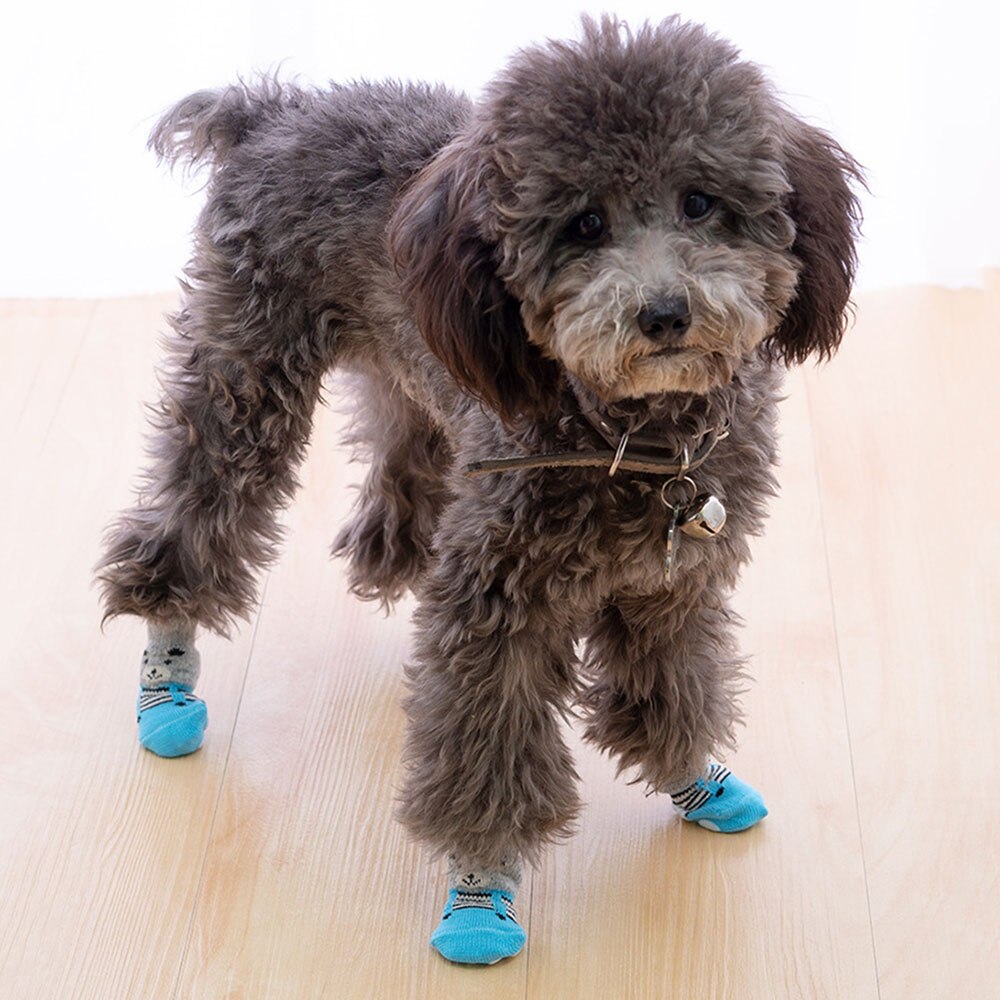 -dog-socks