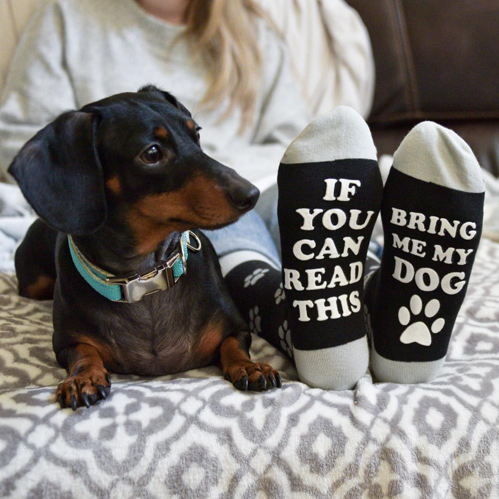 bring-me-my-dog-socks