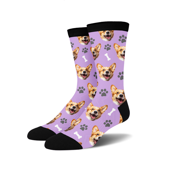 dog socks