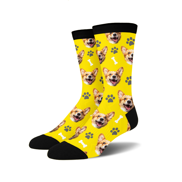 dog socks
